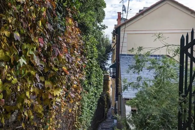 Apart Daire, Sigara İçilebilir