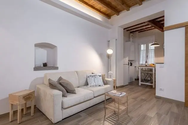 Comfort Apart Daire, 1 Yatak Odası, Sigara İçilmez