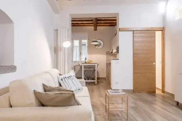 Comfort Apart Daire, 1 Yatak Odası, Sigara İçilmez