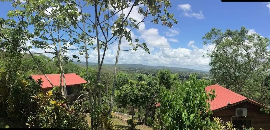 Panoramic Ağaç Ev, 1 Yatak Odası, Tepe Manzaralı, Bahçeli