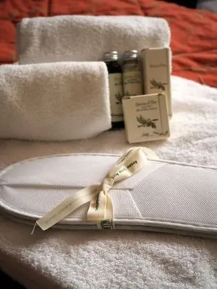 Apart Daire, 1 Yatak Odası (Suite)