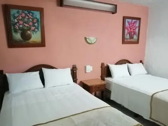 Basic Tek Büyük Yataklı Oda