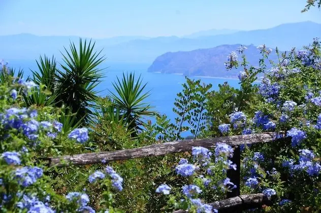 Basic Tek Büyük Yataklı Oda