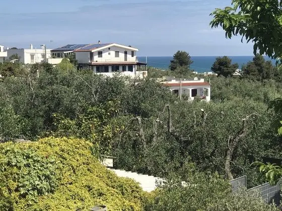 Panoramic Apart Daire, 2 Yatak Odası