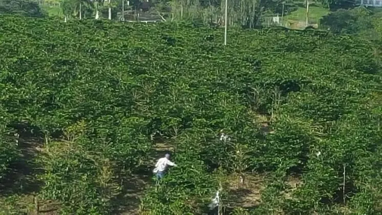 Family Sıra Ev, 2 Yatak Odası, Mutfak, Bahçeli