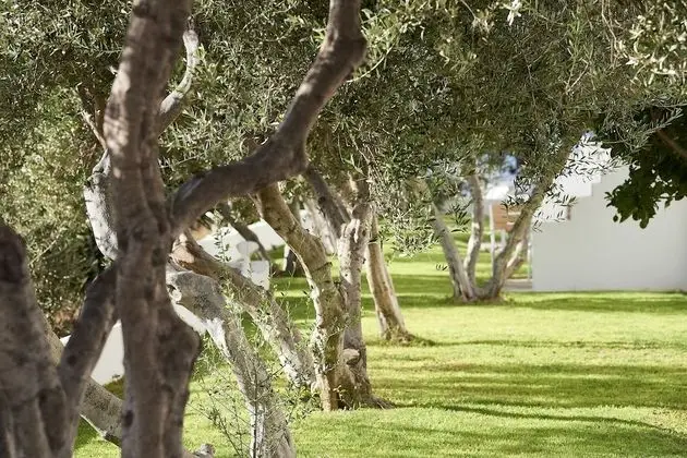 Flexible Room, Garden View (Required to change room during stay)