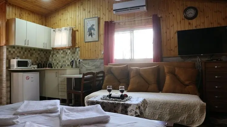 Deluxe Çatı Katı Süiti (Penthouse), 1 En Büyük (King) Boy Yatak ve Çekyat