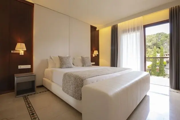 Tek Büyük Yataklı Oda, Balkon, Park Manzaralı