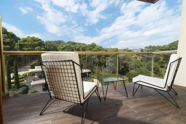 Tek Büyük Yataklı Oda, Balkon, Park Manzaralı
