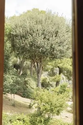 Tek Büyük Yataklı Oda, Park Manzaralı, Ek Bina (Balcony)