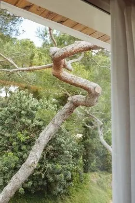 Tek Büyük Yataklı Oda, Park Manzaralı, Ek Bina (Balcony)