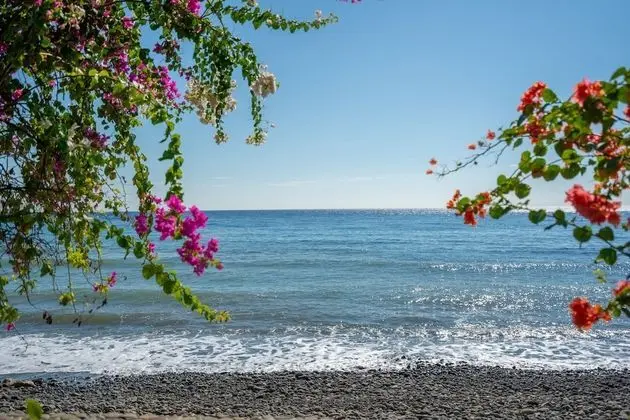 Bungalov, Okyanus Manzaralı