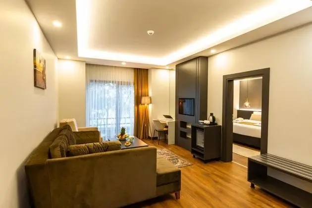 Executive Suite, Deniz ve Dağ Manzaralı, Giriş Katı