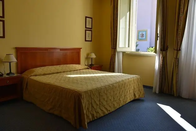 Superior Tek Büyük Yataklı Oda (Non Smoking Room)