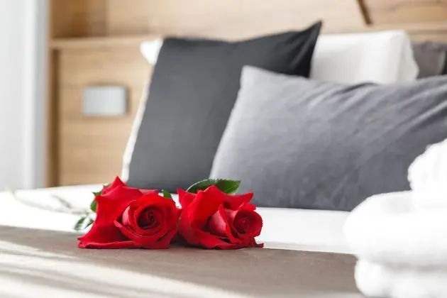 Standard Tek Büyük veya İki Ayrı Yataklı Oda