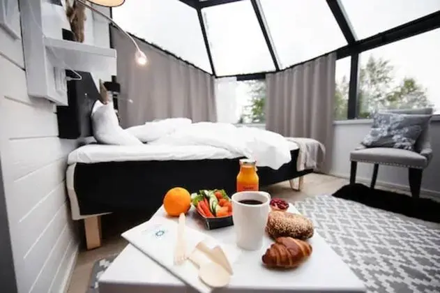 Premium Igloo