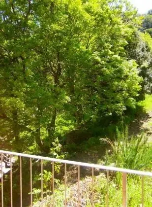 Superior Tek Büyük veya İki Ayrı Yataklı Oda, Banyolu/Duşlu, Bahçe Manzaralı