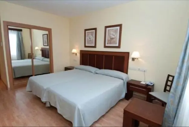 Tek Büyük Yataklı Oda (dos camas)