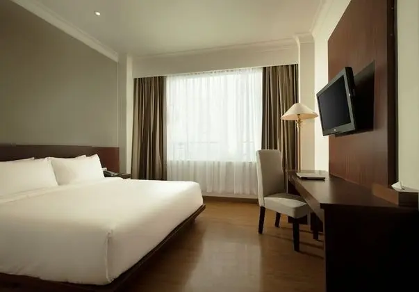 Superior Tek Büyük Yataklı Oda