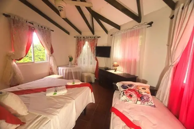 Deluxe Stüdyo Süit