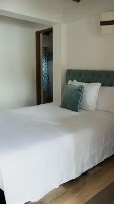 Deluxe Oda, 1 Çift Kişilik Yatak, Bahçeli