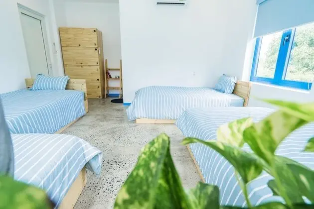 Ortak Ranzalı Oda, Karma Ranzalı Oda (Bed in 4-Bed)