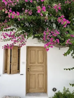 One Bedroom Apartment Garden View