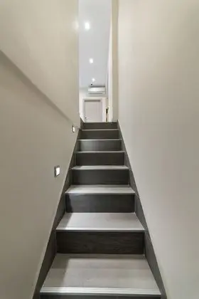 Süit