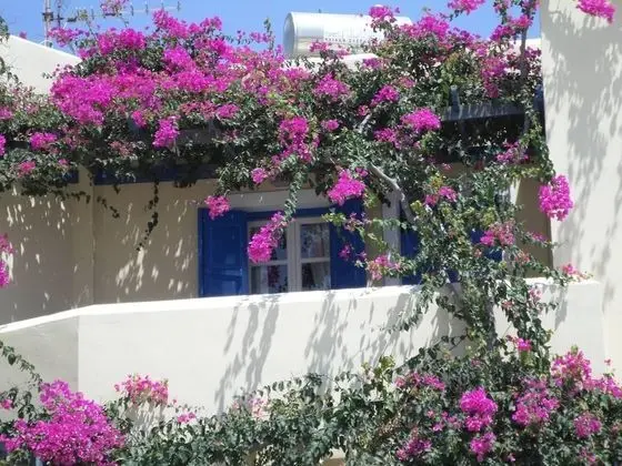 Apart Daire, Birden Çok Yatak