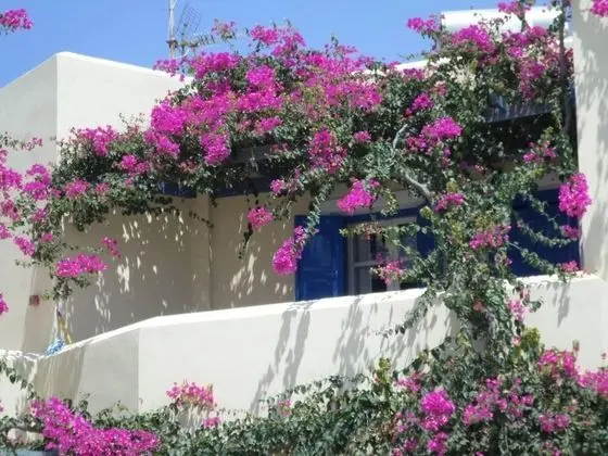 Apart Daire, Birden Çok Yatak