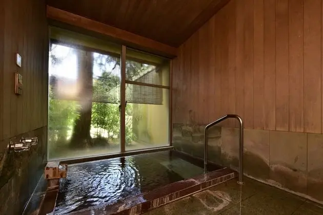 Deluxe Japanese Room - Annex