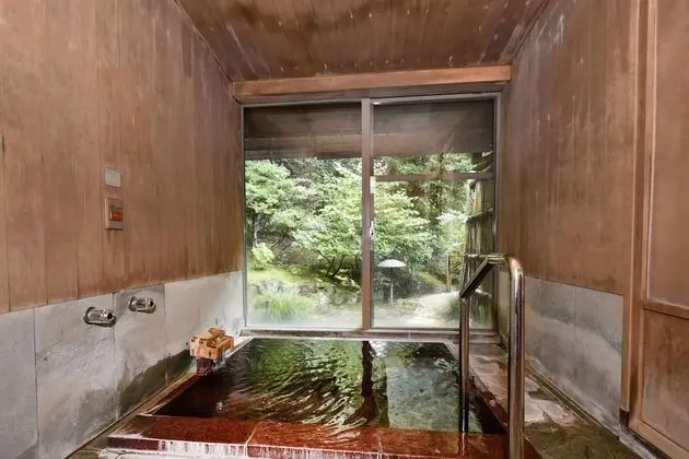 Standard Japanese Room - Annex
