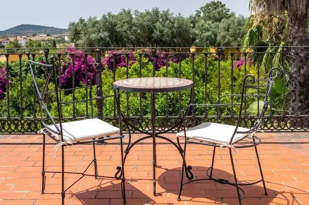 Superior Tek Büyük Yataklı Oda, Balkon, Bahçe Manzaralı