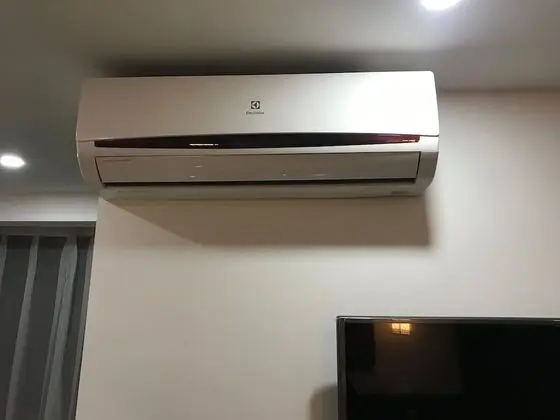 Superior Üç Kişilik Oda, Birden Çok Yatak