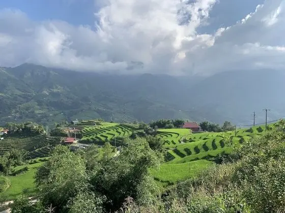 Superior Bungalov