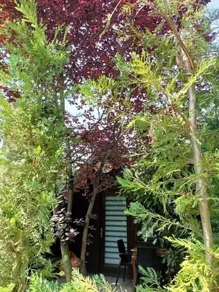 Bungalov
