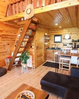 İNCE BUNGALOV 2 BEGONYA