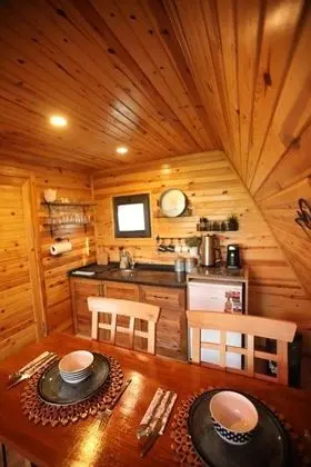 İNCE BUNGALOV 2 BEGONYA