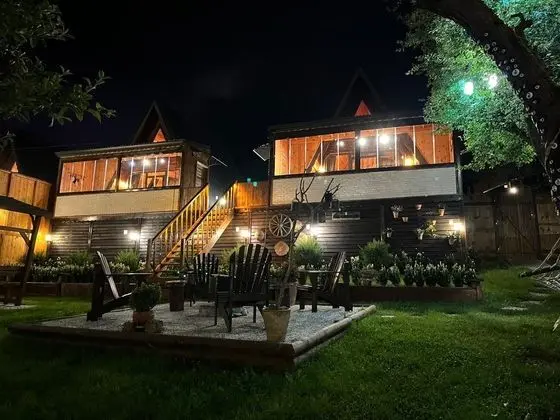İNCE BUNGALOV 2 BEGONYA