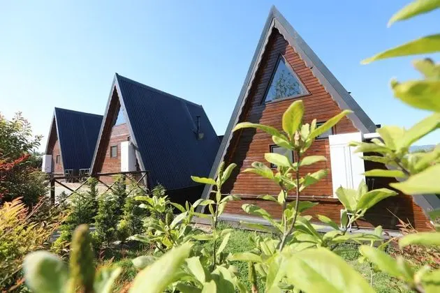 İNCE BUNGALOV 2 BEGONYA