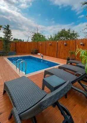 İNCE BUNGALOV 2 BEGONYA