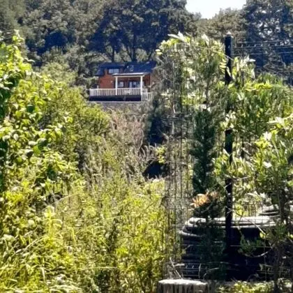 Masal Tiny House