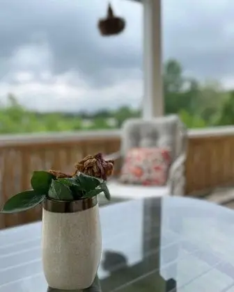 Masal Tiny House