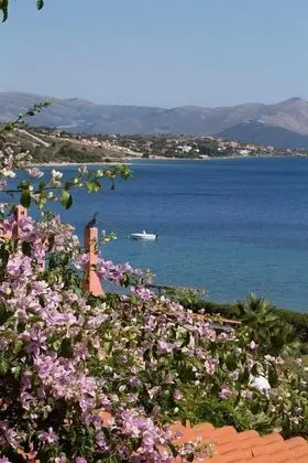 Premium Villa