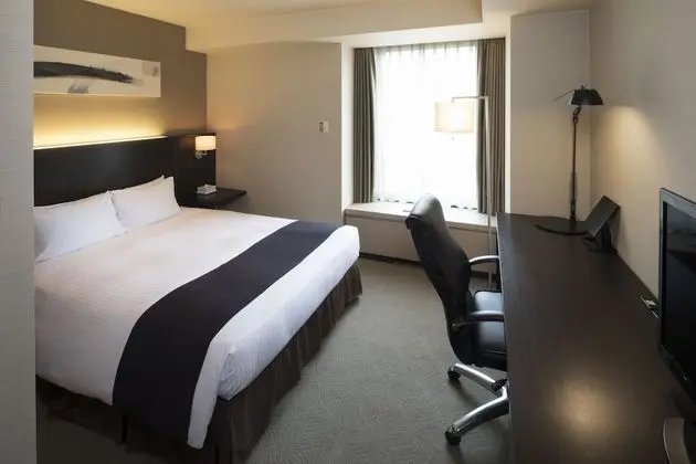 Comfort Tek Büyük Yataklı Oda, Sigara İçilmez (East Building)