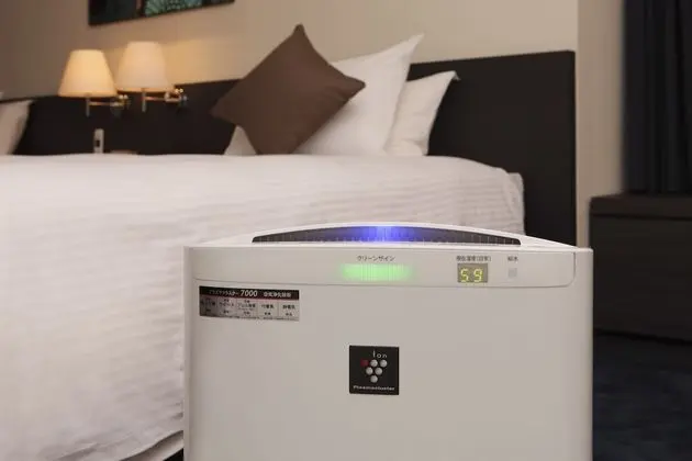Comfort Tek Büyük Yataklı Oda, Sigara İçilmez (East Building)