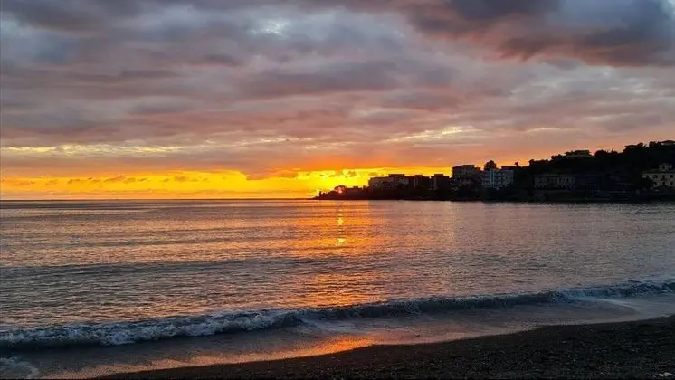 Apart Daire, Buzdolabı