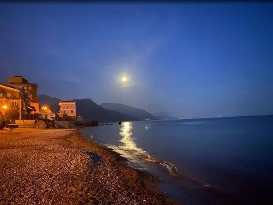 Apart Daire, Buzdolabı