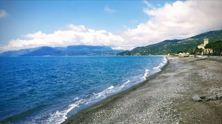 Apart Daire, Buzdolabı