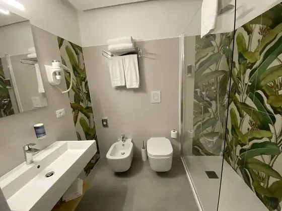 Superior Tek Büyük Yataklı Oda (Plus)